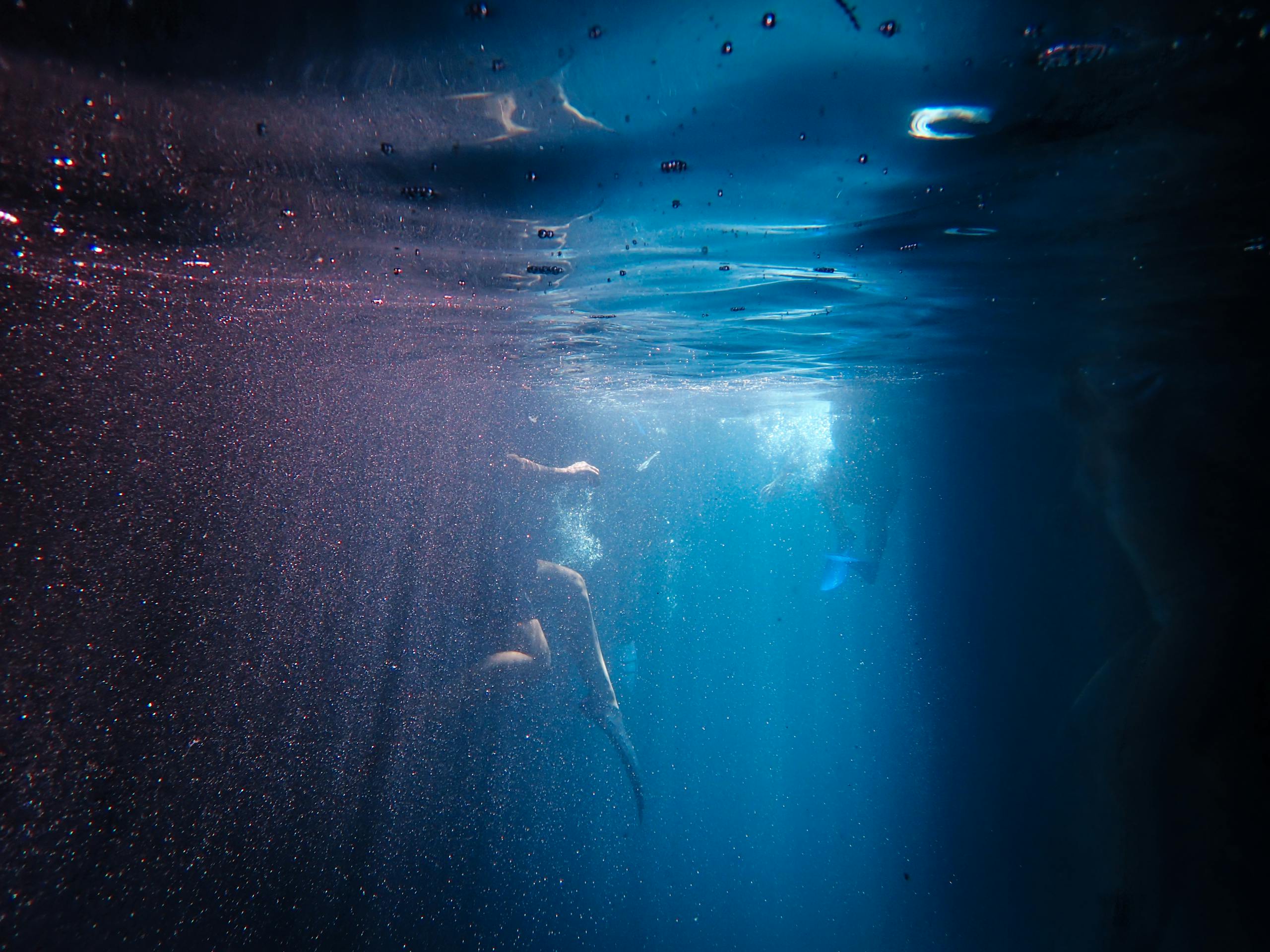 Captivating underwater scene showing divers in a mystic, eerie blue atmosphere.
